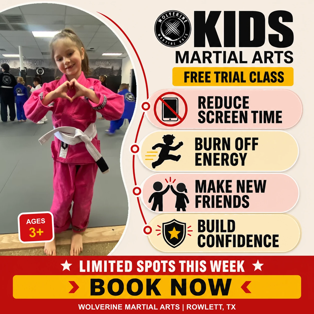 Zylis kids martial arts ad showing a student at Wolverine and benefits including less screen time